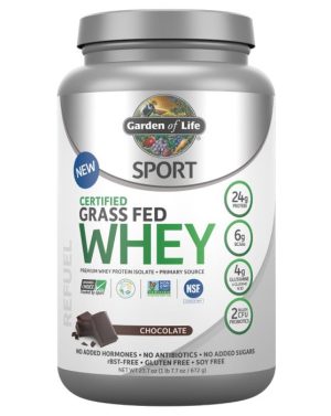 GOL SPORT WHEY 20srv