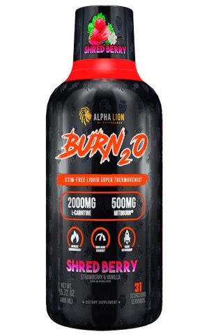 ALP BURN-20 15.72oz      SHREDBERRY