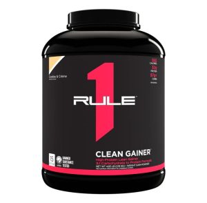 R1 CLEAN GAINER 5lb